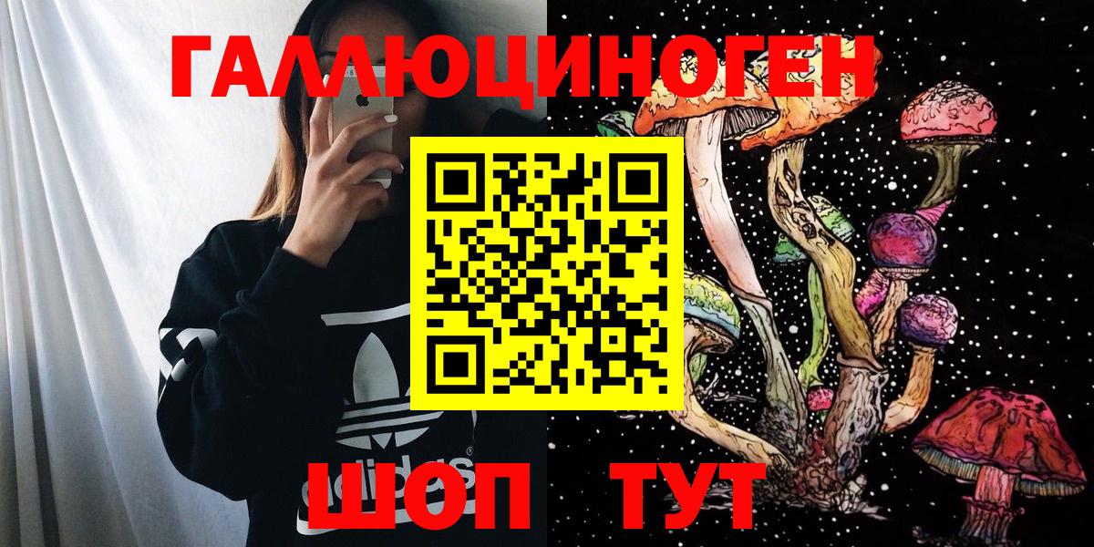 Галлюциногенные грибы Psilocybine cubensis Петрозаводск