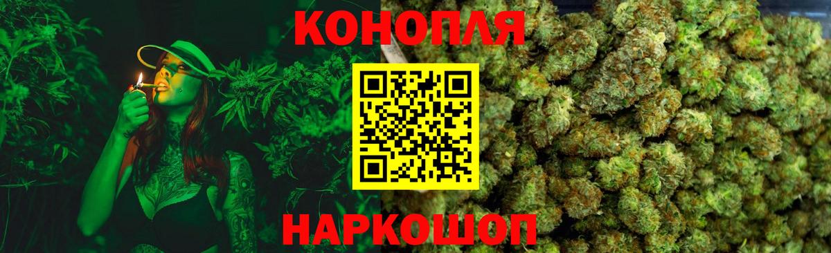 Конопля сатива Петрозаводск